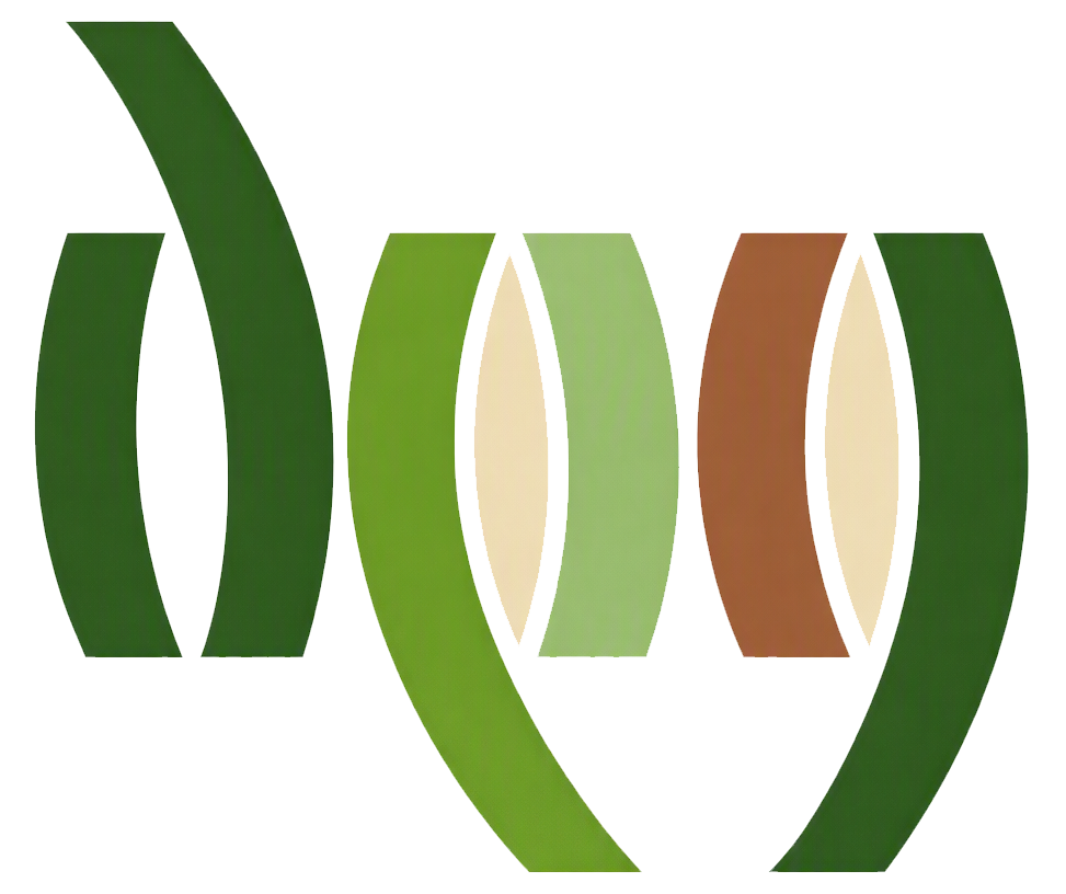 Design Plus Group